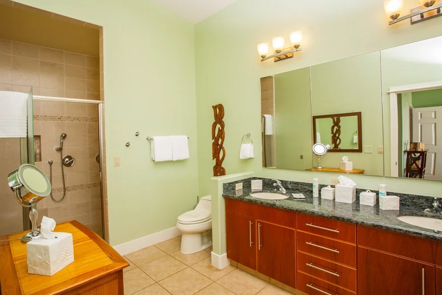 9master bathroom.jpg
