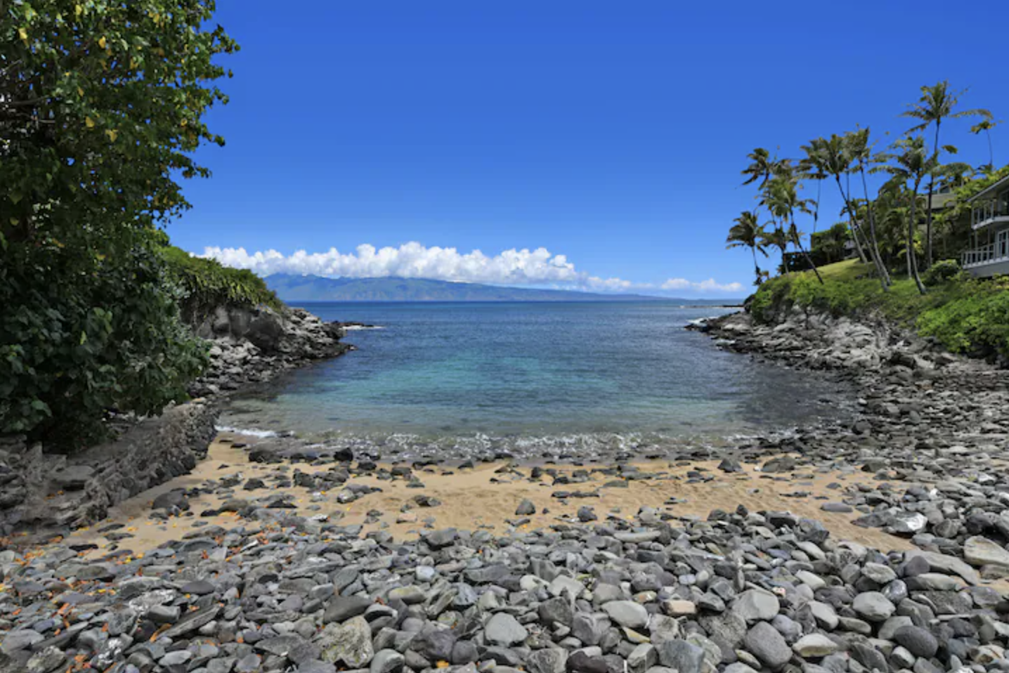 community beach cove_2.png