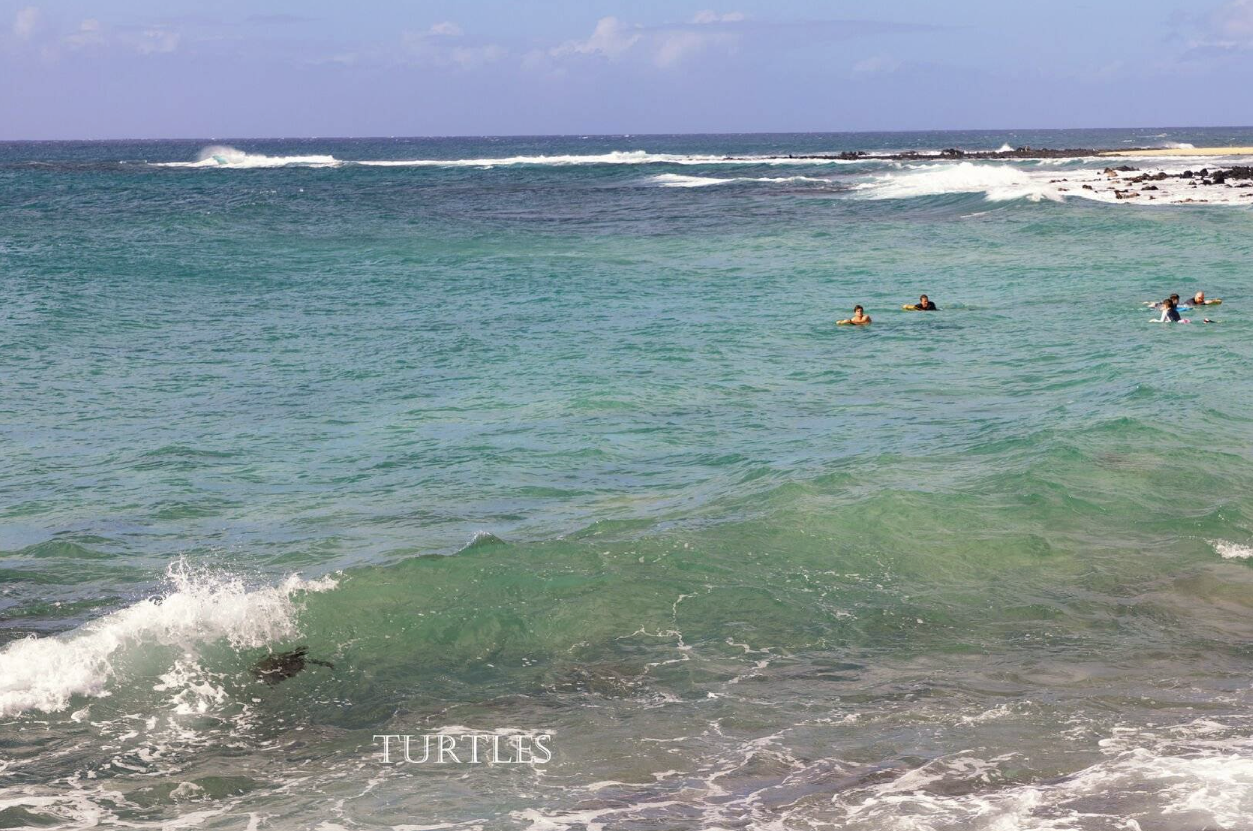 Screenshot 2025-10-28 at 9.17.24 PM.png