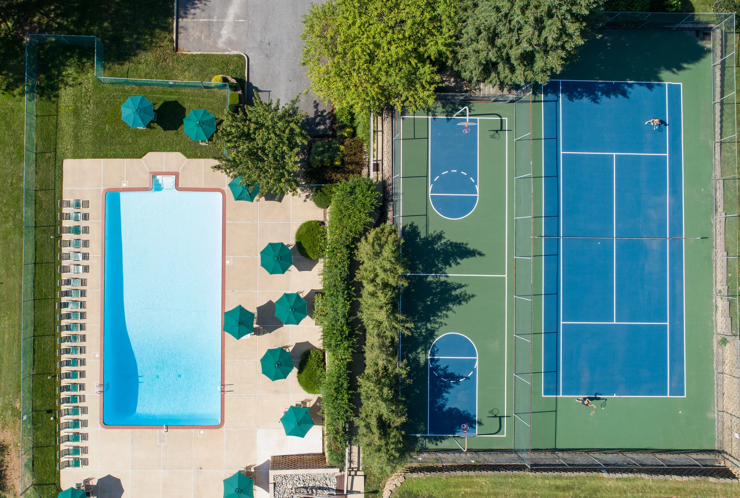 Choose between swimming, hoops, or tennis.