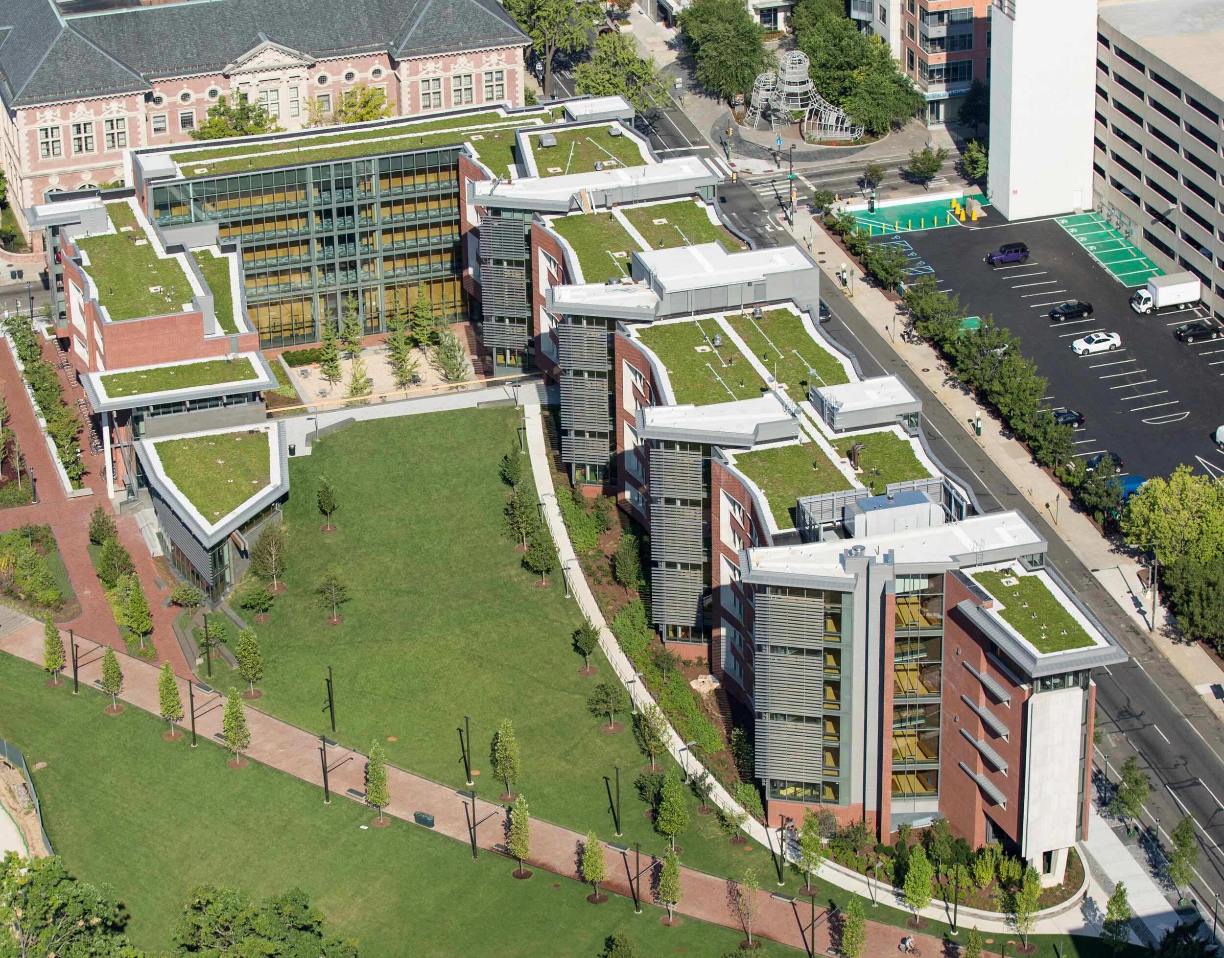 Even in the city, trees and grass serve as anchors for structures.