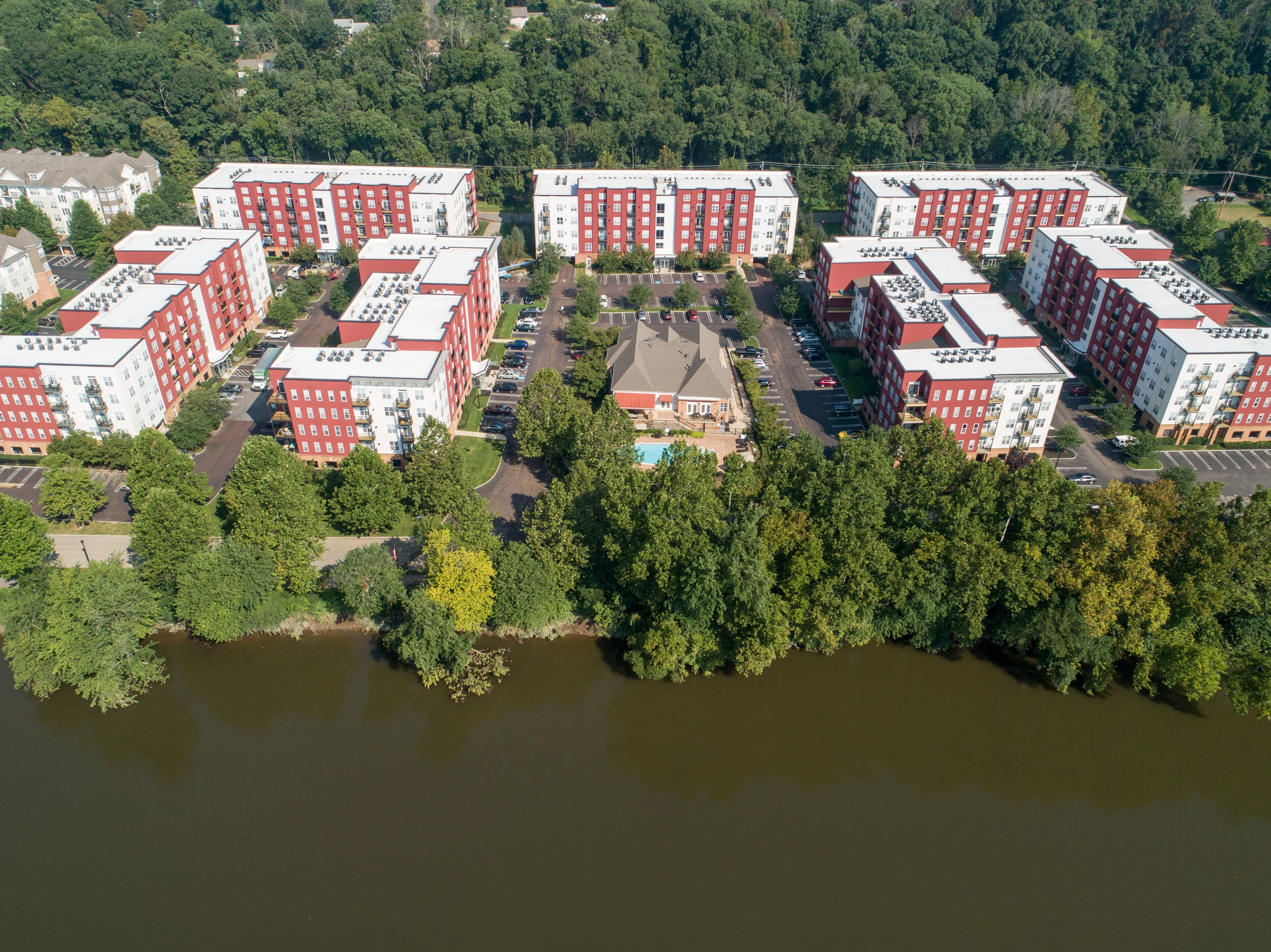 Clusters of green soften hard-edged buildings.