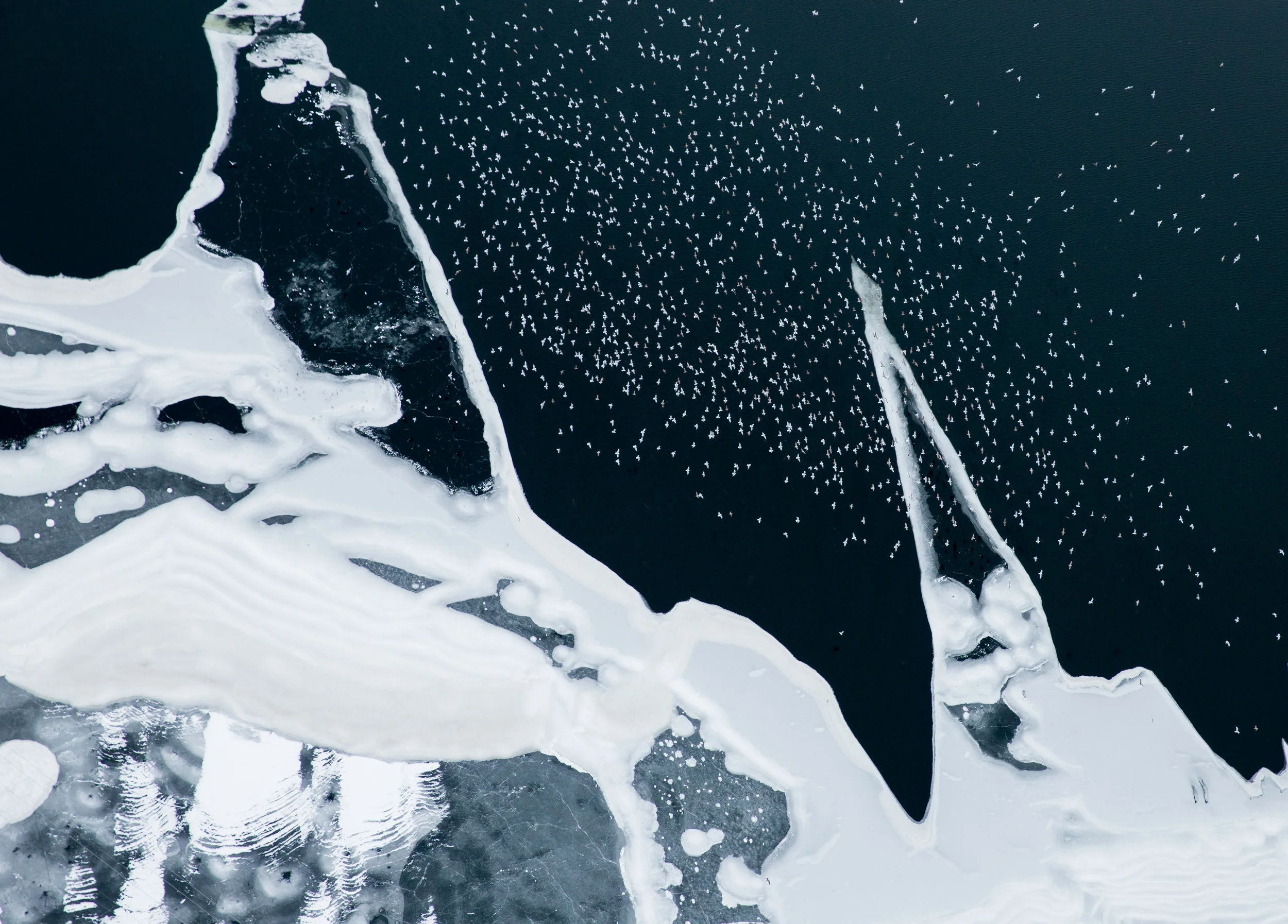 0
false


18 pt
18 pt
0
0

false
false
false

 
 
 
 
 

 

 
 


 /* Style Definitions */
table.MsoNormalTable
	{mso-style-name:"Table Normal";
	mso-tstyle-rowband-size:0;
	mso-tstyle-colband-size:0;
	mso-style-noshow:yes;
	mso-style-paren…