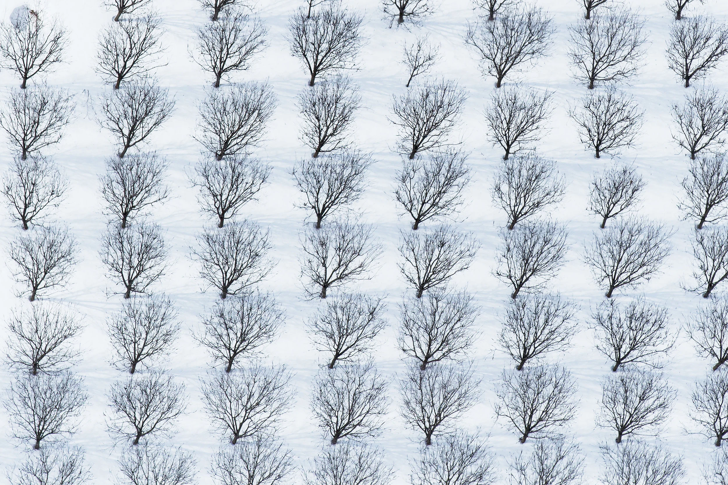 0
false


18 pt
18 pt
0
0

false
false
false

 
 
 
 
 

 

 
 


 /* Style Definitions */
table.MsoNormalTable
	{mso-style-name:"Table Normal";
	mso-tstyle-rowband-size:0;
	mso-tstyle-colband-size:0;
	mso-style-noshow:yes;
	mso-style-paren…