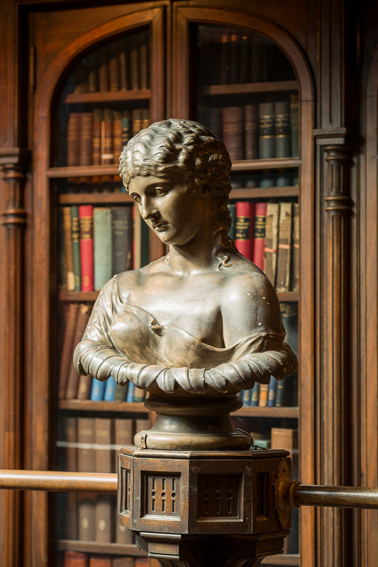Victorian bust from original Lea Library.