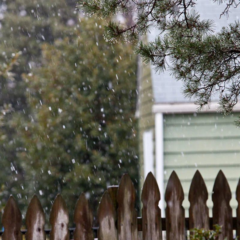 wpid-gb_110401_9759.jpg