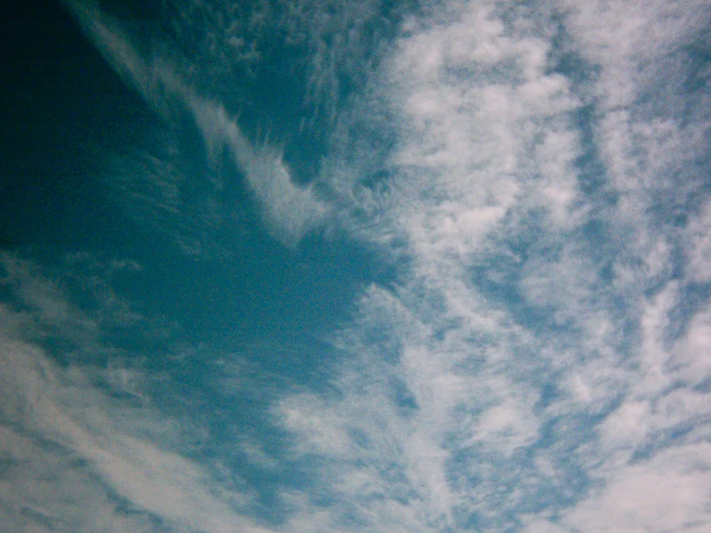 wpid-gb_110104_1300.jpg