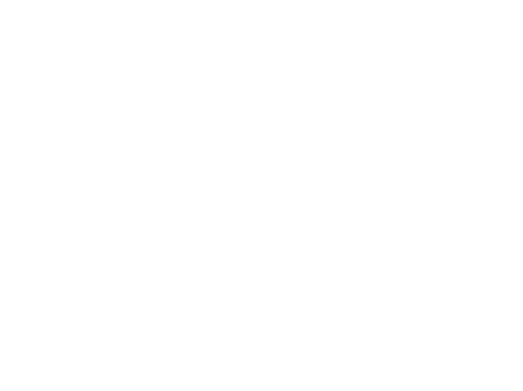 11 Toyota 2.png