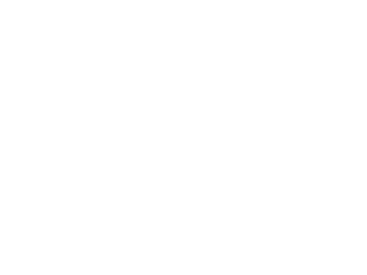 8 Puma 2.png