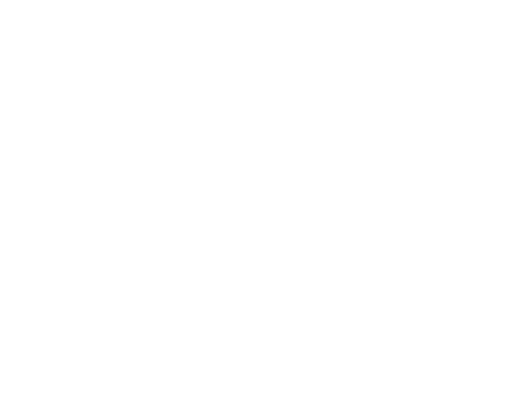 Team USA.png