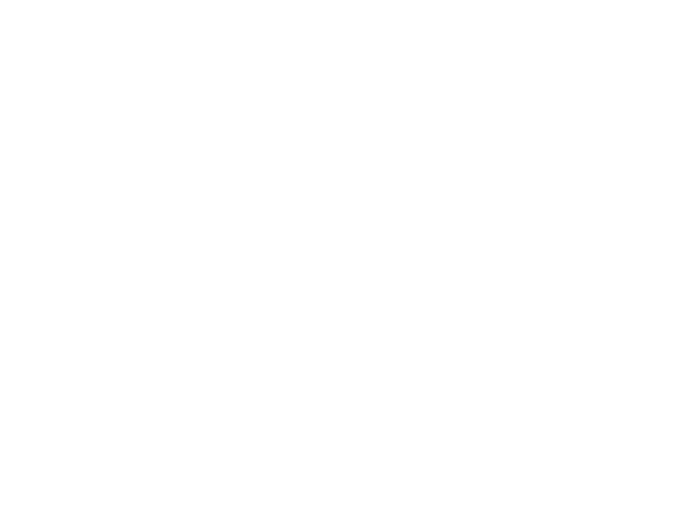 5 Coca-Cola 3.png