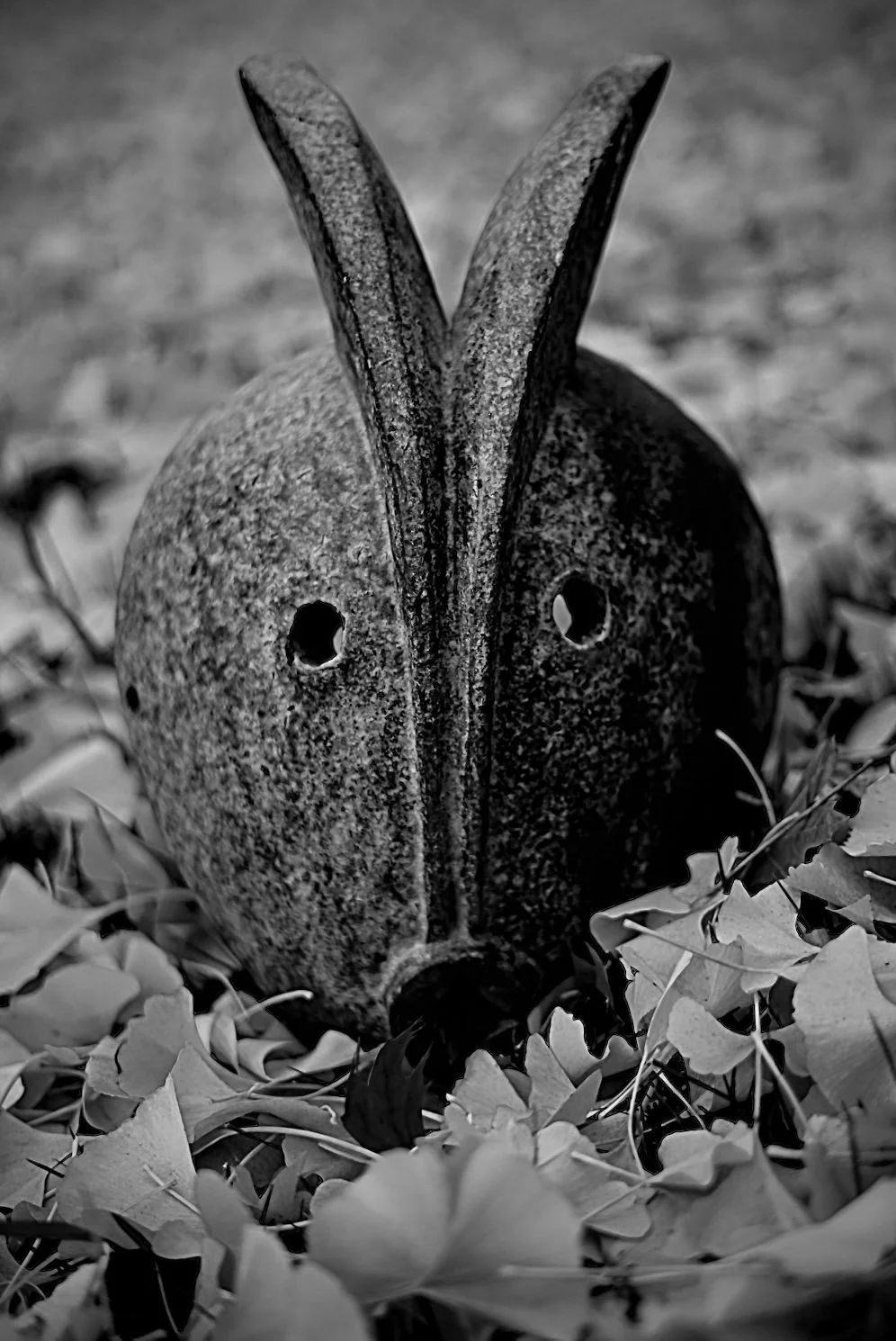A stone sculpture resembling a bird with a rounded body, two eye holes, and a beak, surrounded by fallen leaves.