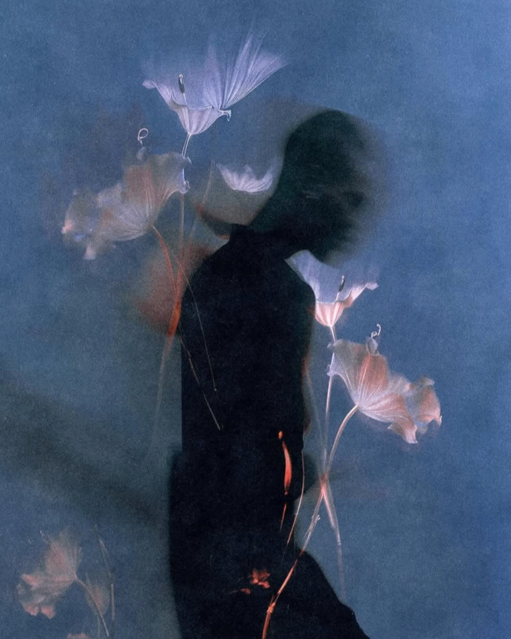 Navigating Reorientation