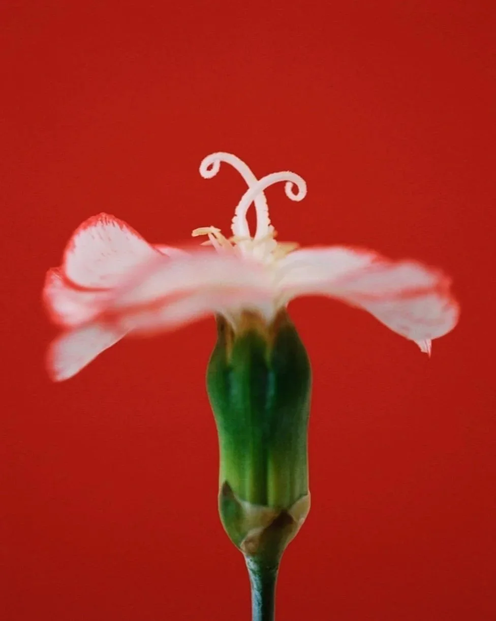 Creative Resonance Lab