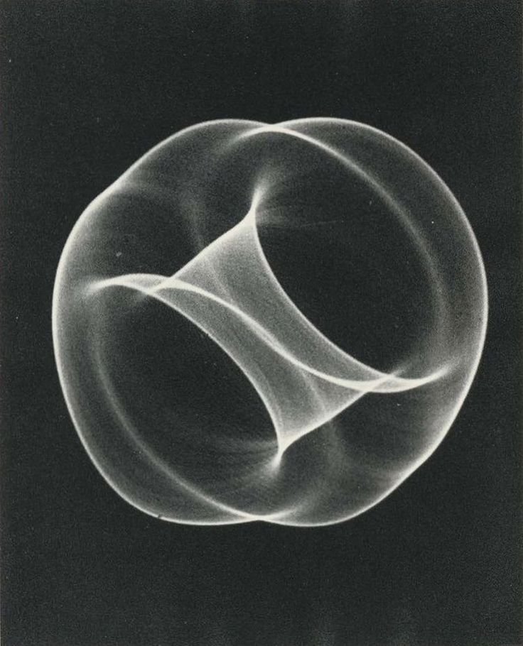 Qi Gong Live Discovery Session