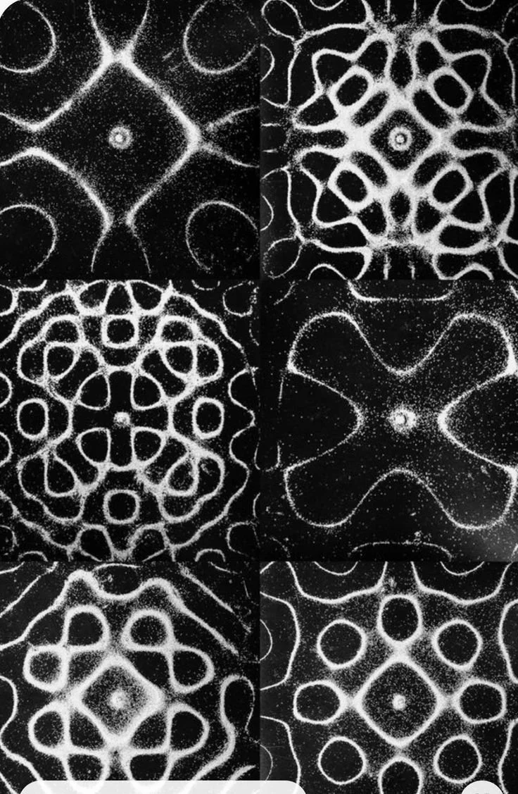 3-Month Foundation Qi Gong Package