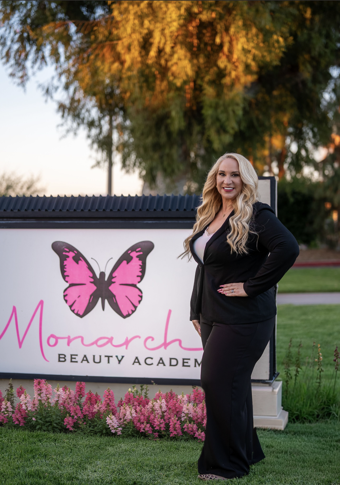 Pink and black butterfly illustration