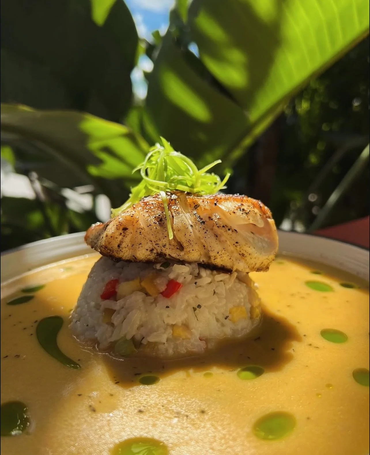 Today’s special fresh fish from Ponce Inlet 💥
Seared Lime Grouper served with mango rice over a mango habanero butter & cilantro oil -  also available in Red Snapper 🤩
