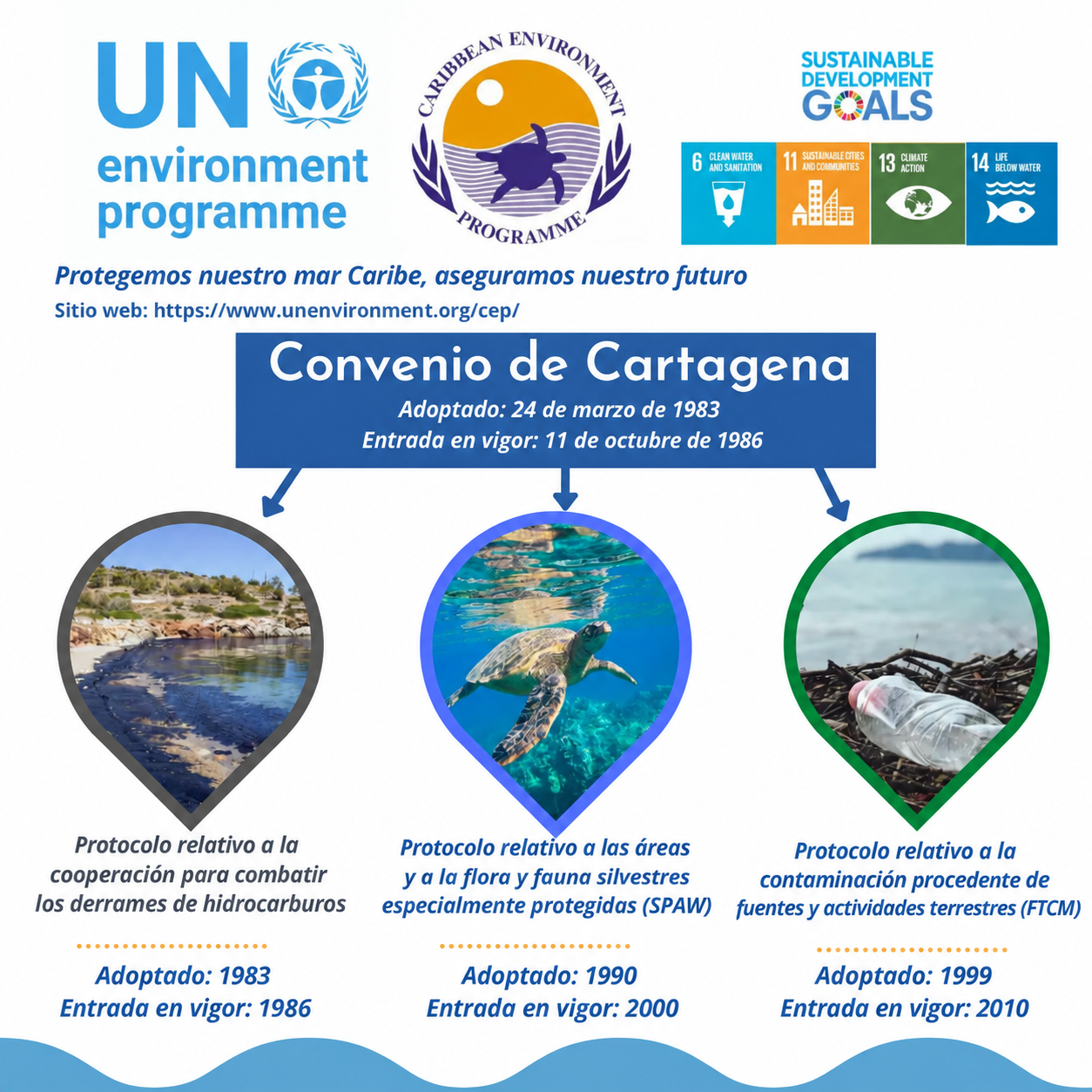 Resultados de la CoP13 del Protocolo SPAW