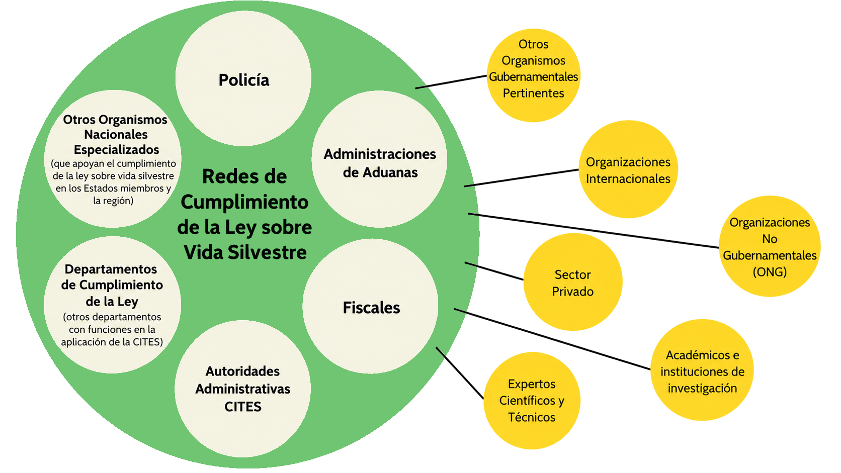¿Qué es una red de cumplimiento de la ley sobre vida silvestre?