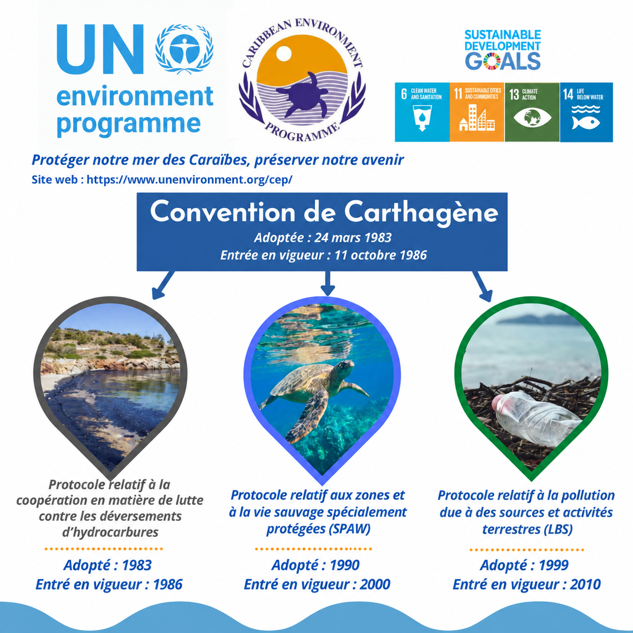 Résultats de la CoP13 du Protocole SPAW