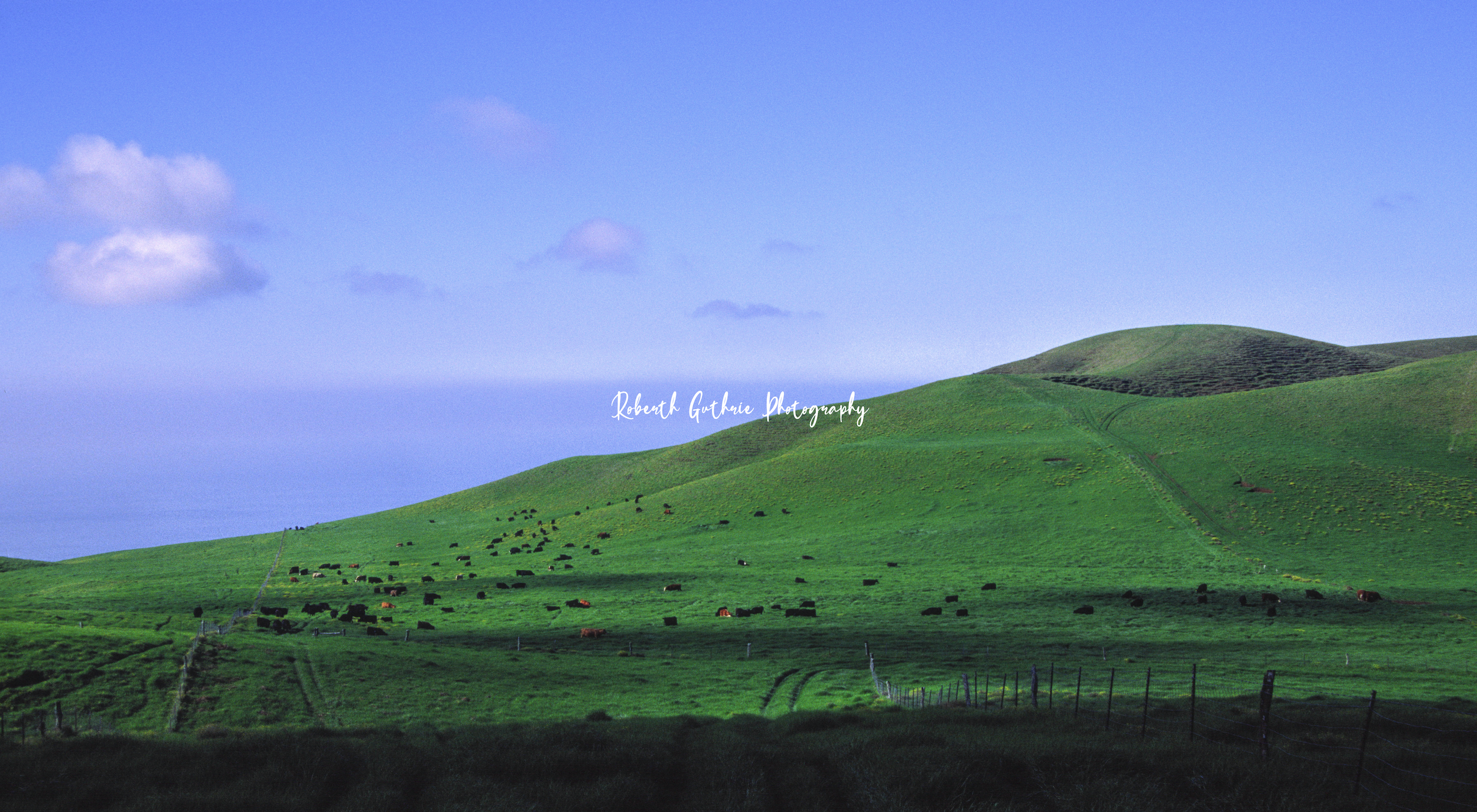 High Plains Near Waimea