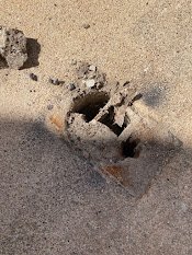 IMG_9540.jpg