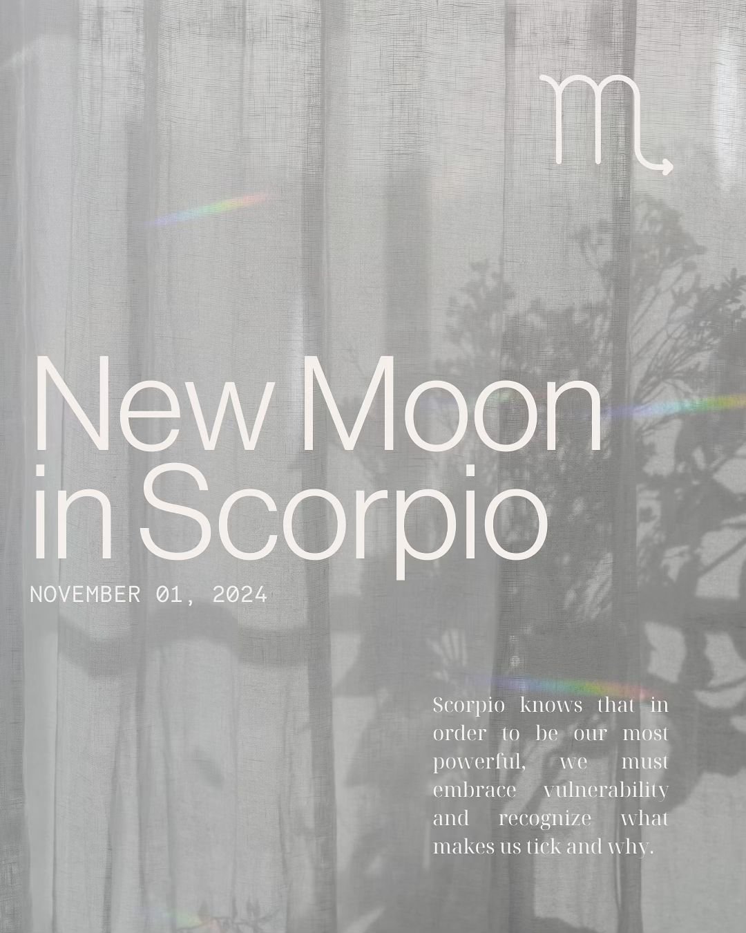 Happy New Moon in Scorpio 🌑🦂 What are you looking to transform in the next 6 months?

#newmoonintentions #newmoonritual #newmoonmagic #newmoonenergy #newmoonrituals #newmooninscorpio #mooninscorpio #themoontonight #moonritual #moonrituals #astrolog