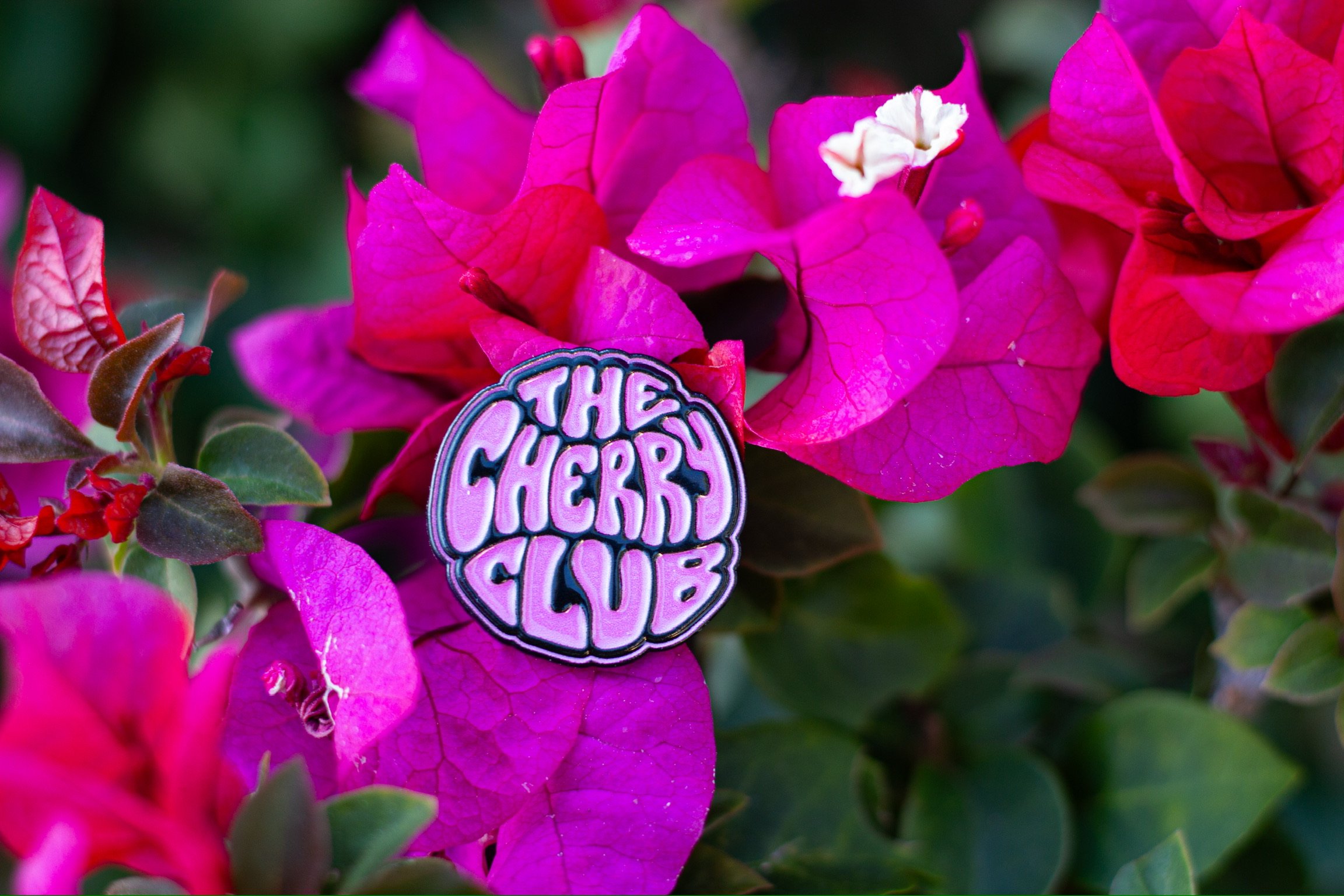 Logo Pin