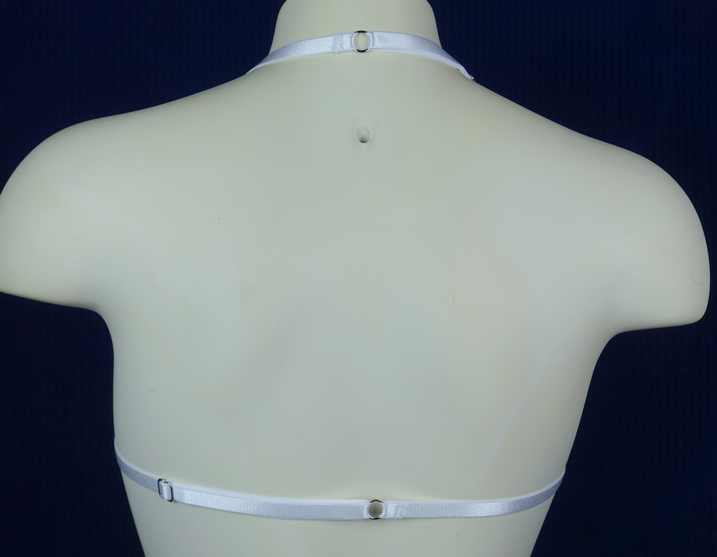 cobalt spk shelf bra back.jpg