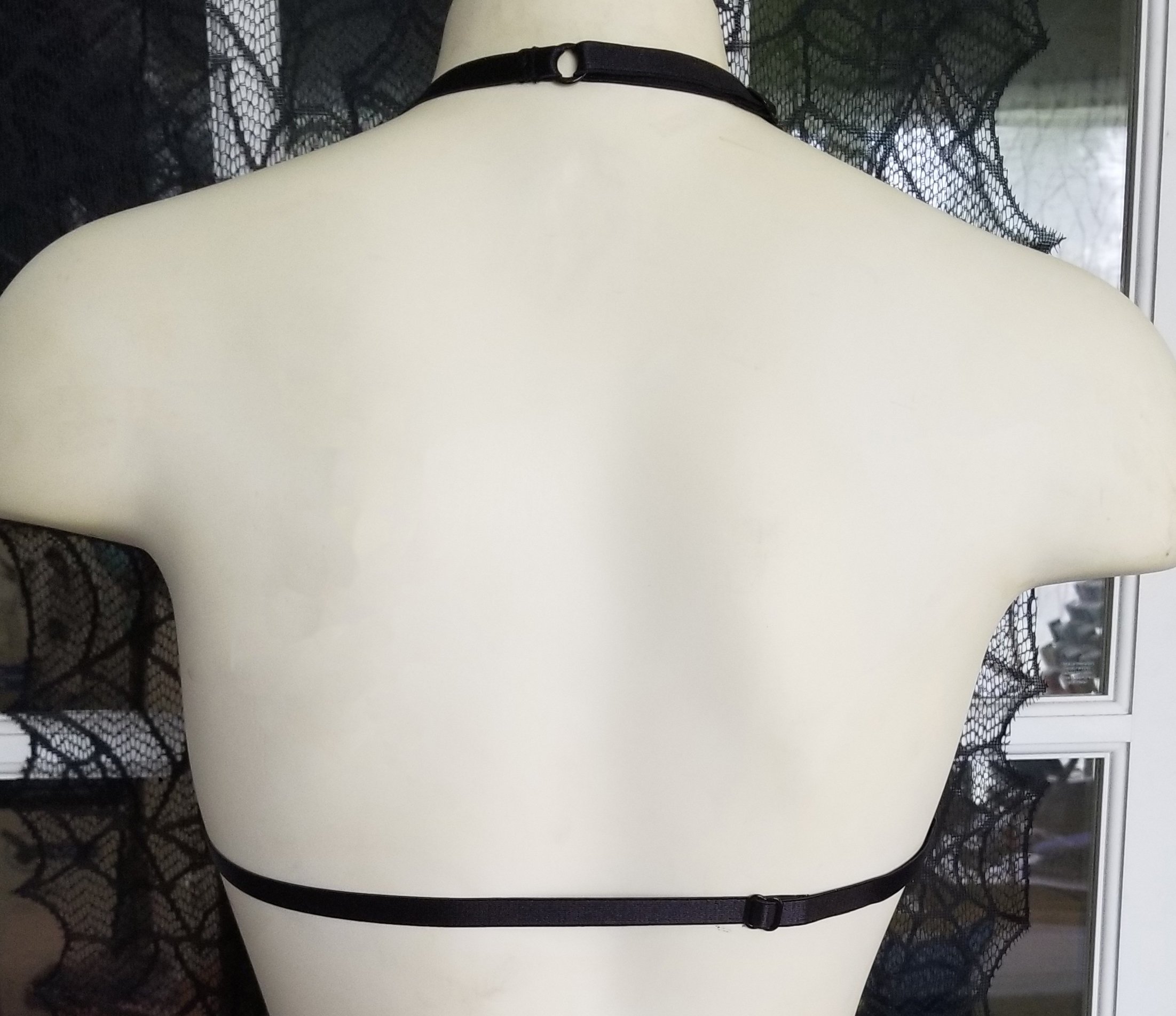 shelf bra back.jpg