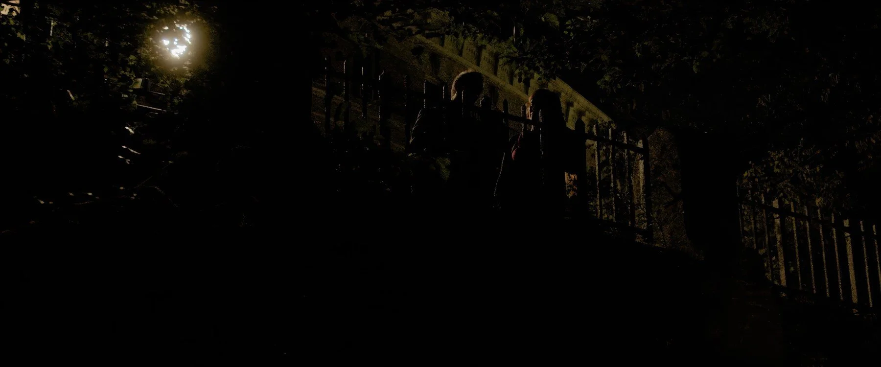 Quietly short film still — Kai Wen Hu - Silhouettes of two people standing near a fence at night, with a bright light in the background illuminating trees and foliage.