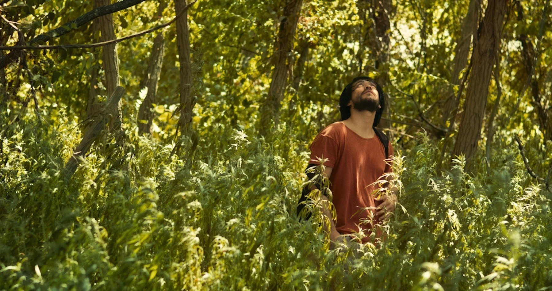 Bloodworm short film still — Kai Wen Hu - The Drifter in the sunlit woods.