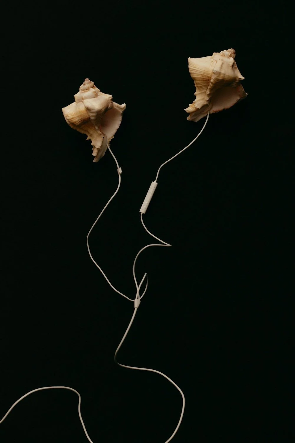 Shell Headphones.jpg