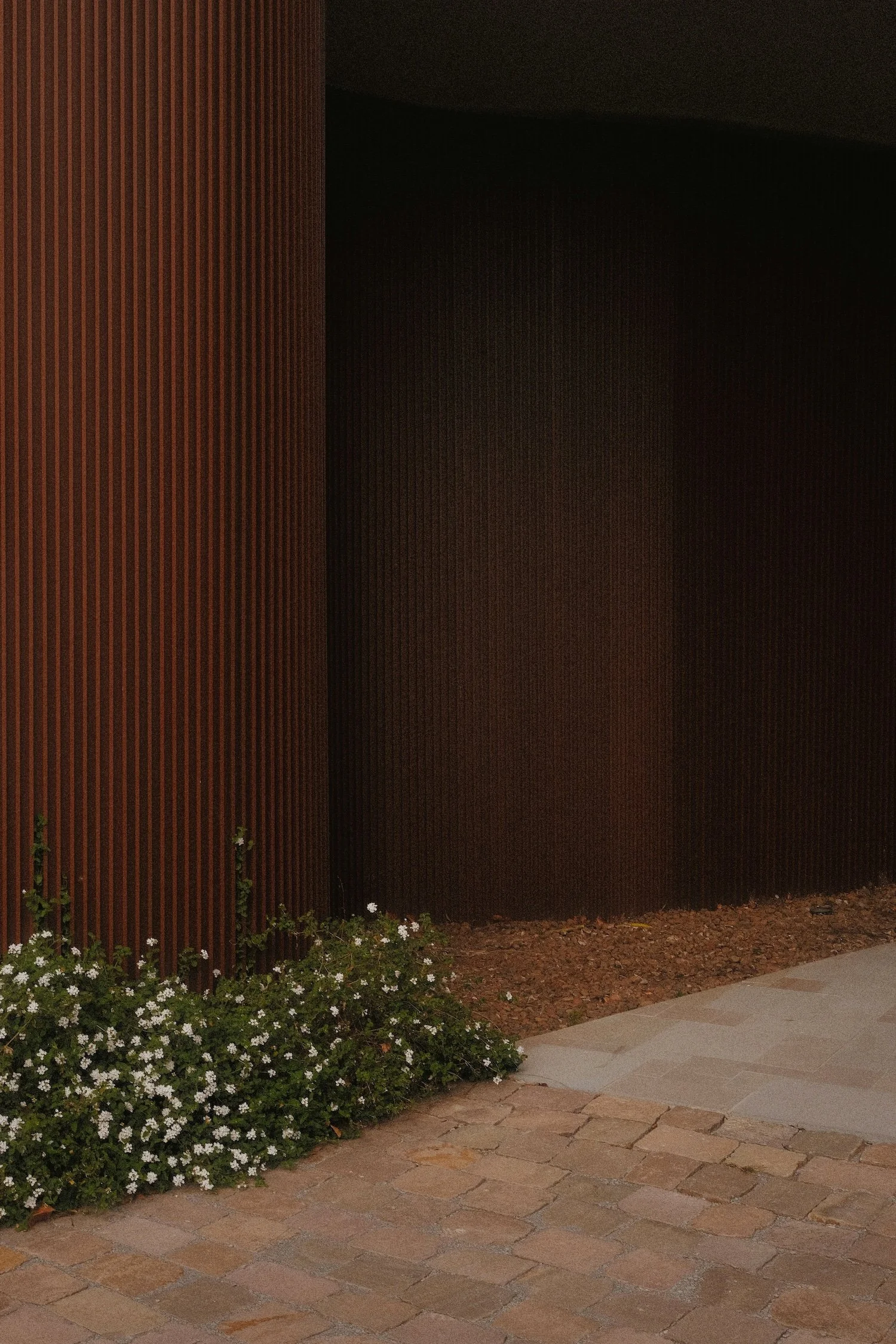 The urban and the understory.JPG