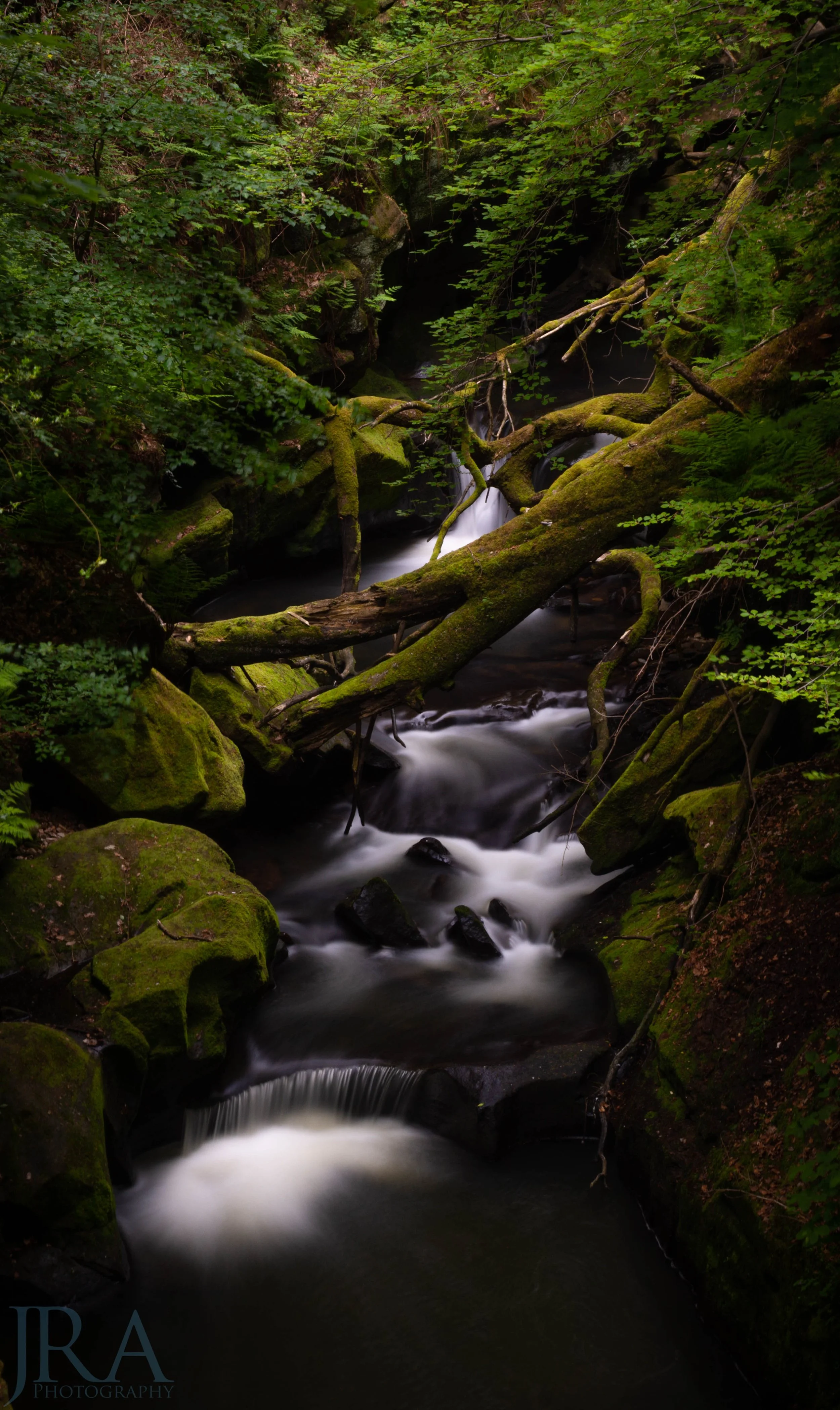 DSC_8898-Pano wm.jpg