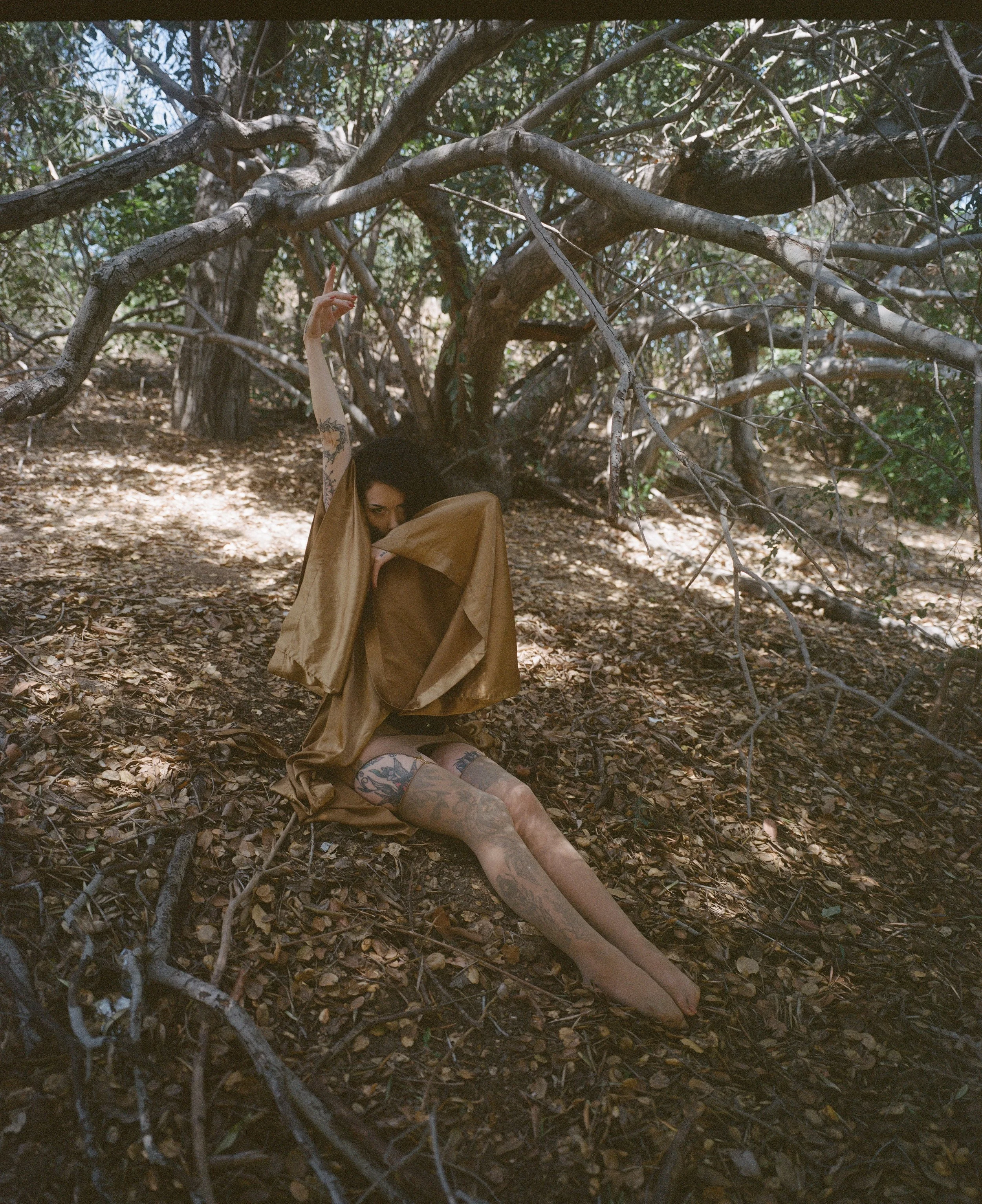 ANDY REASER