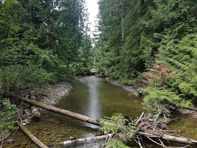 Adams River at Tsutswecw Park