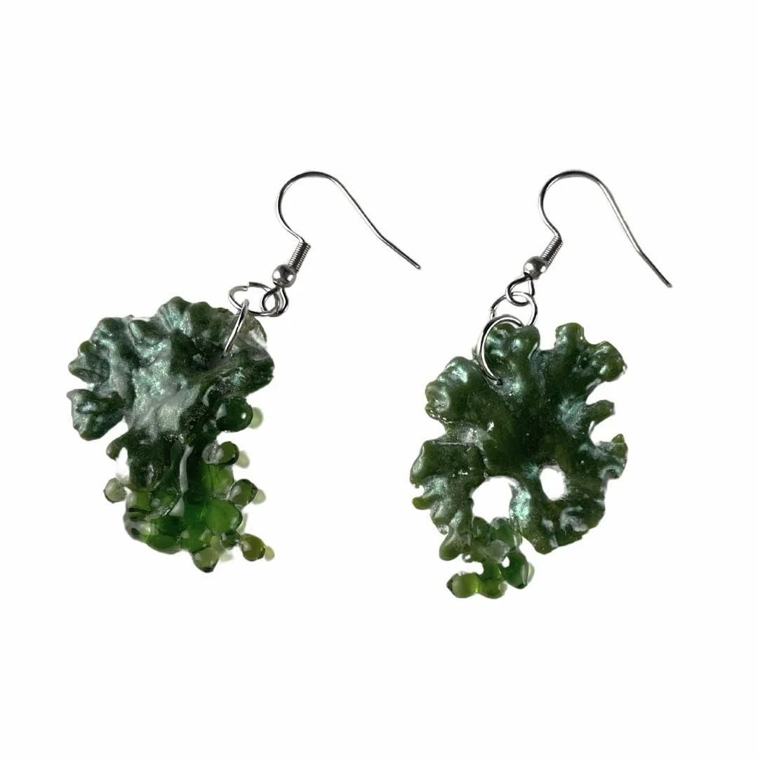 Totally forgot to post this, but these kiln-fused Lichen earrings are in the Bullseye Glass TG: Transitions in Kiln-Glass exhibition. 

Thanks for the selecting this into the show @bullseyeprojects ! 

Using Bullseye was my entry point into working w
