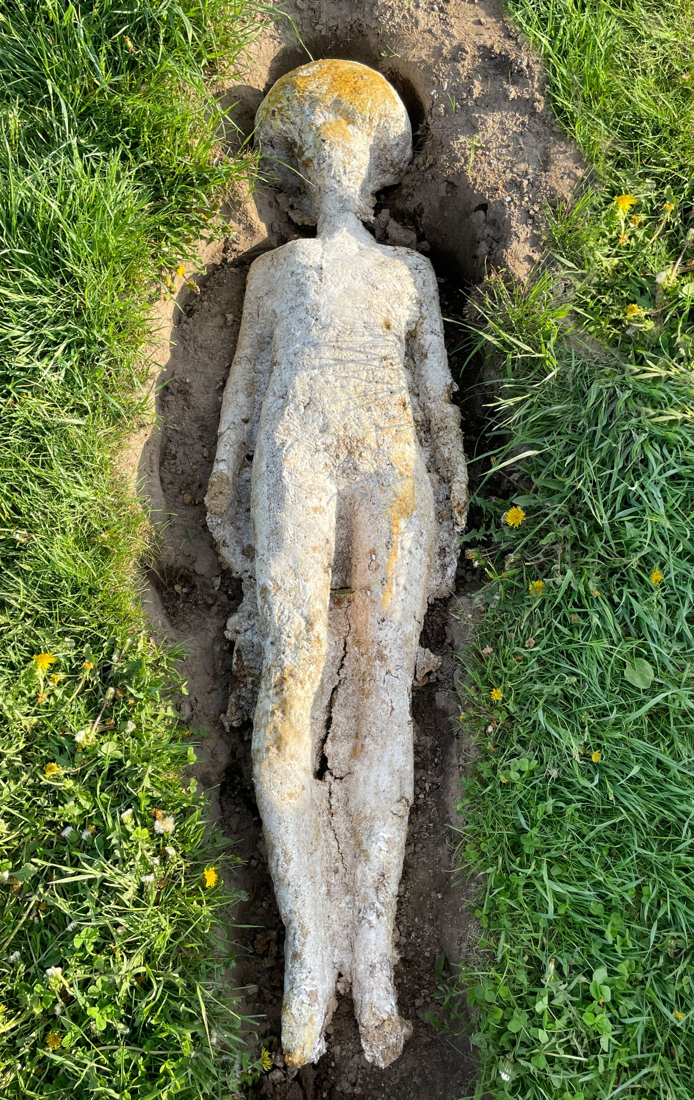 Laid to Rest , 2021
Franconia Sculpture Park
Mycelium and earth