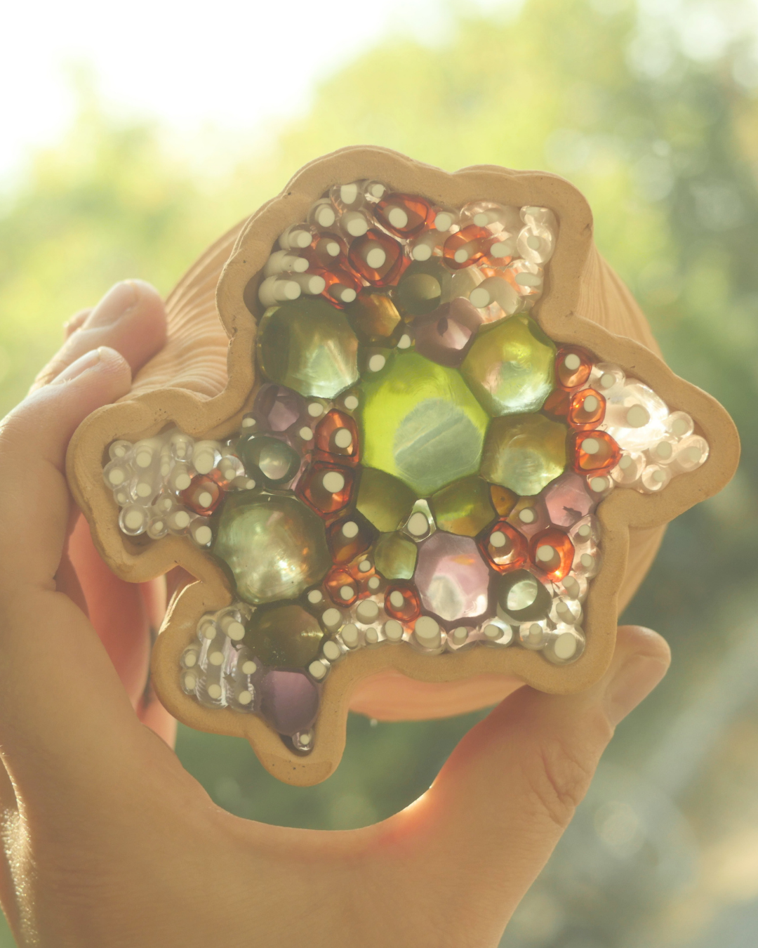 Capsules_1.png