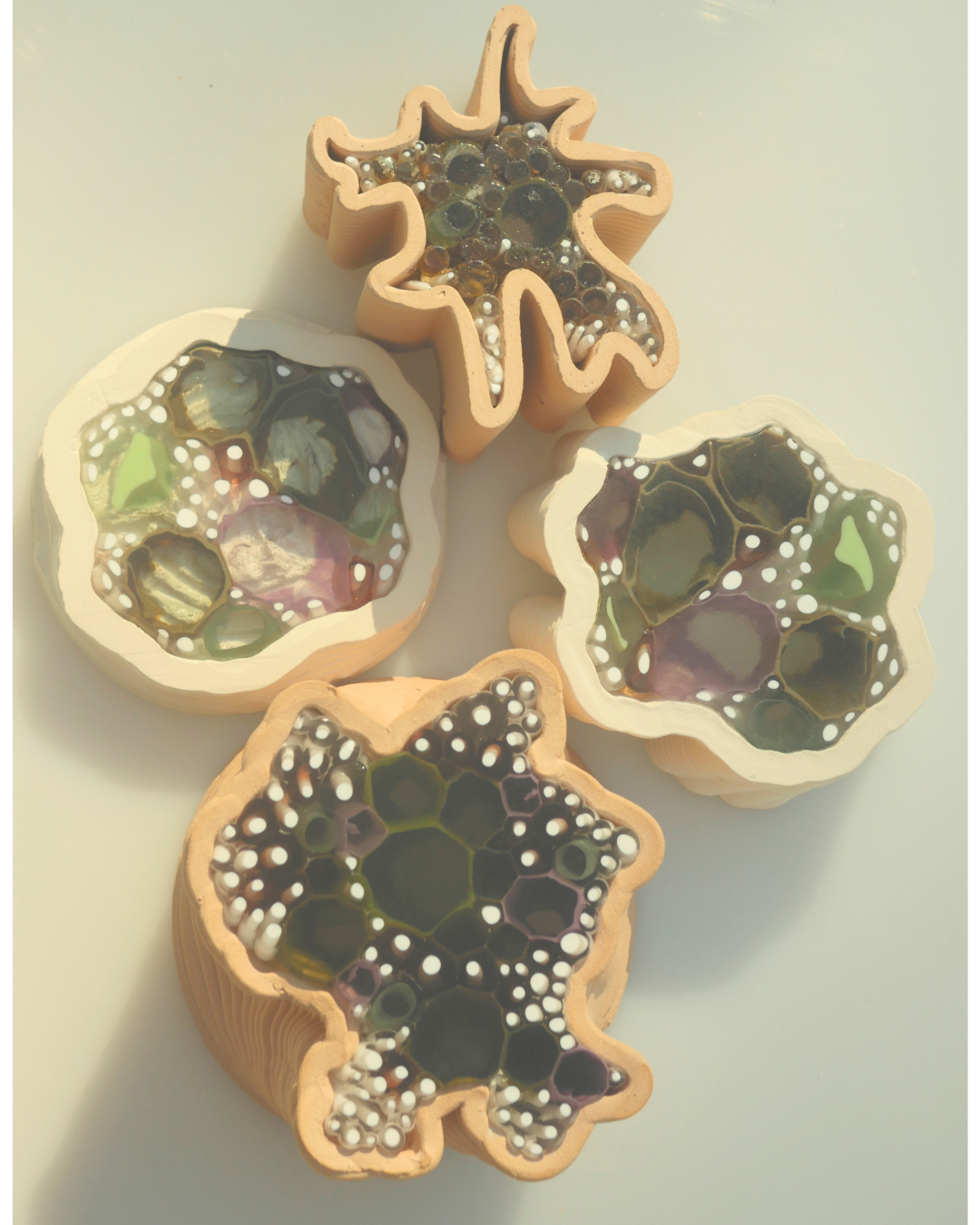 Capsules_Portfolio.png