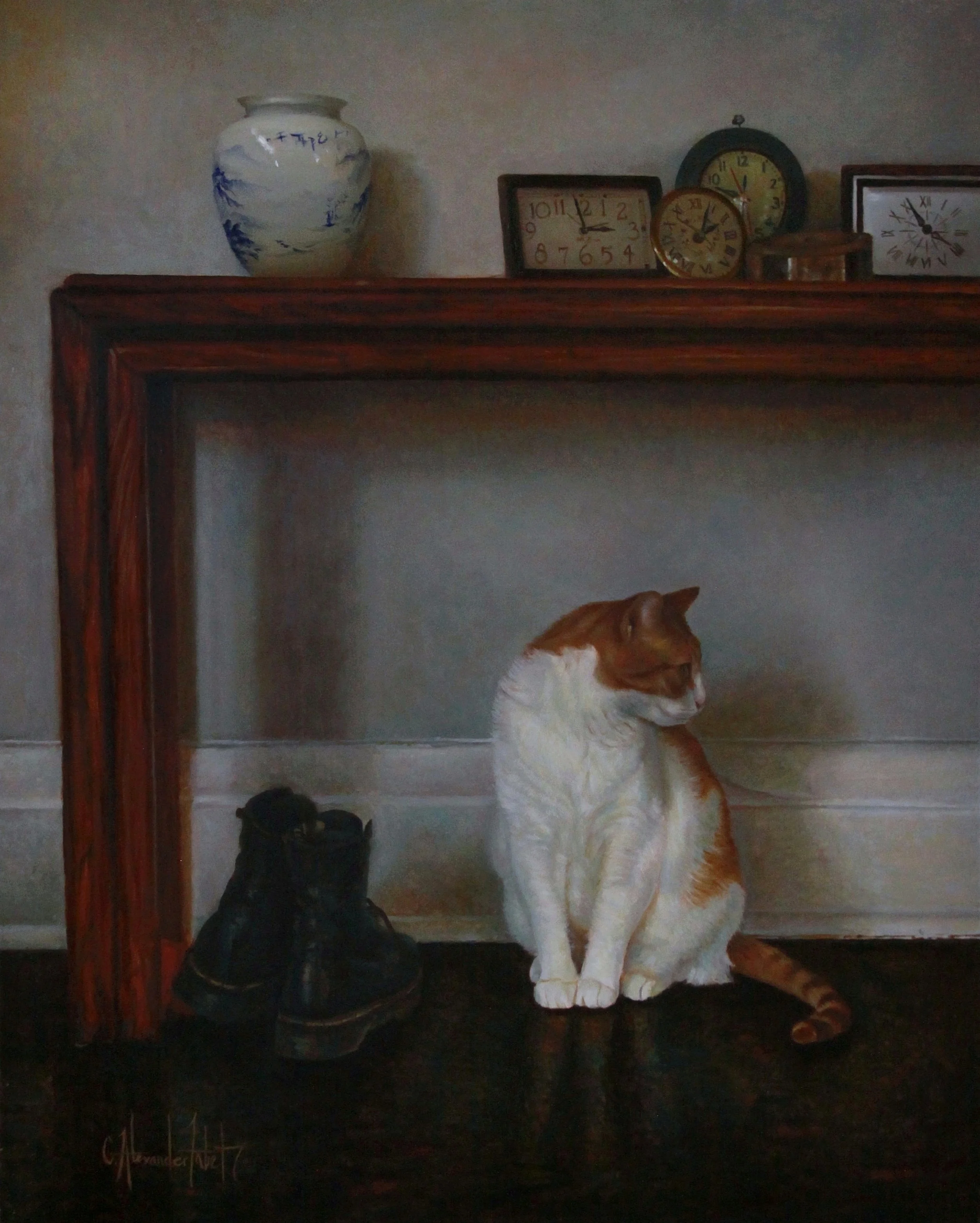 Animal Portraits