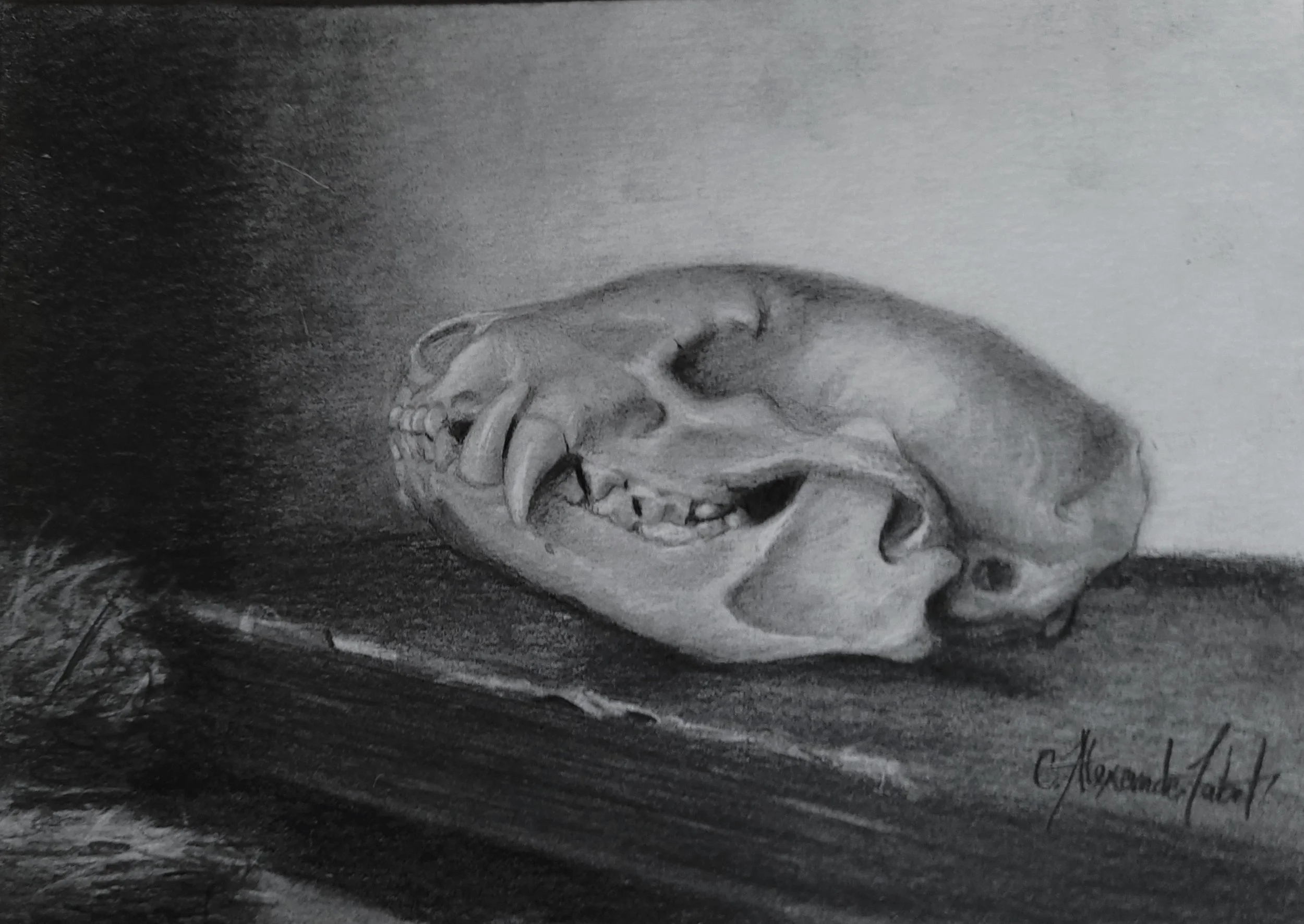 -Private Collection-