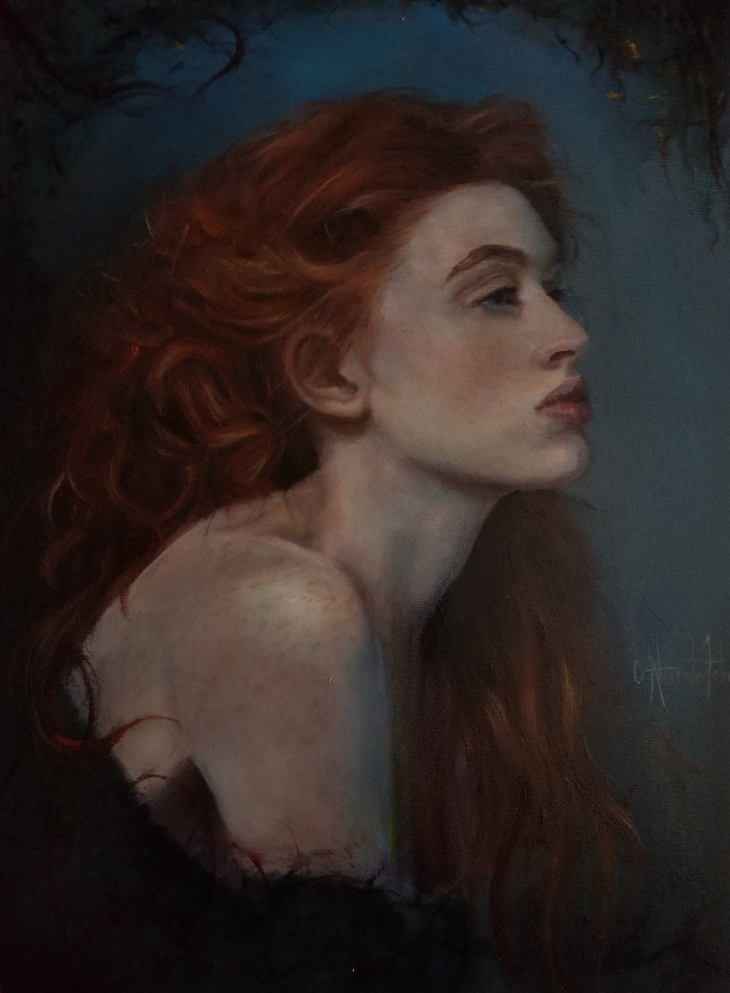 -Private Collection-