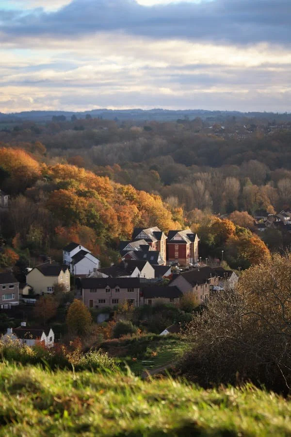 A Strategic Analysis of the Autumn Real Estate Market