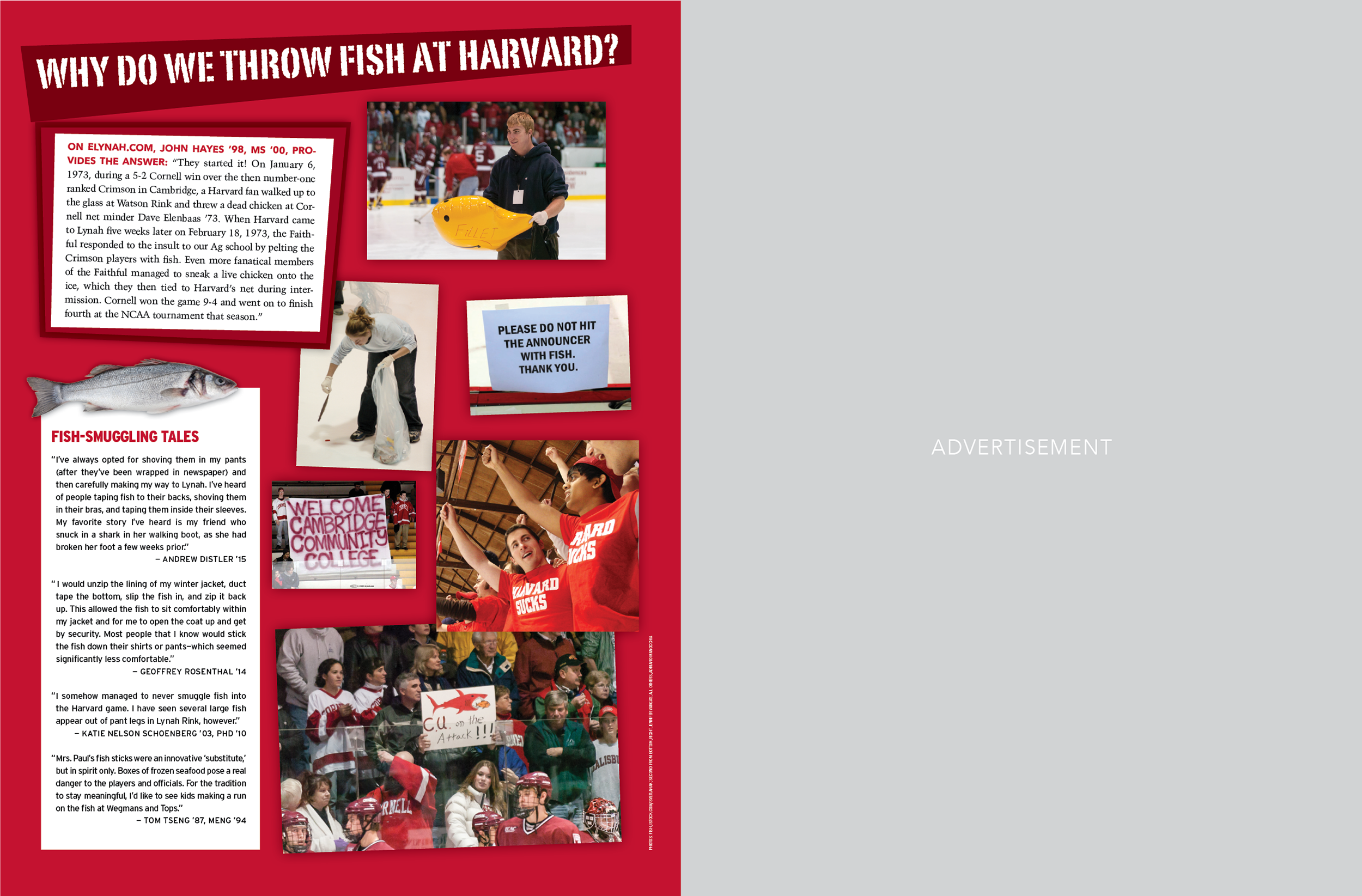 Loud and Proud layout4.png