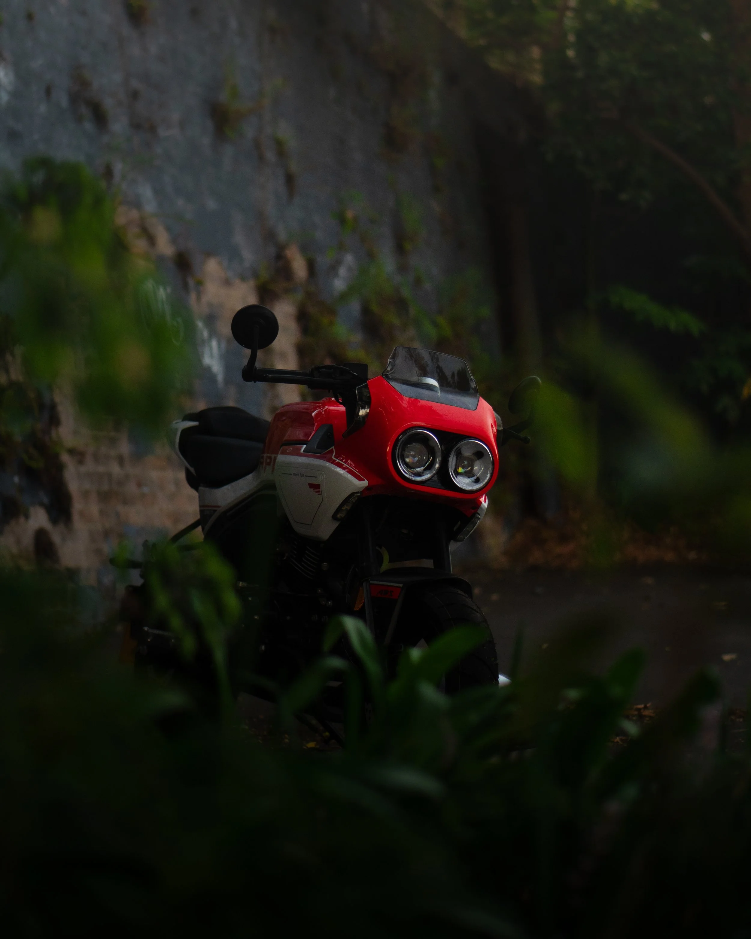 20250131-DSC00406.jpg