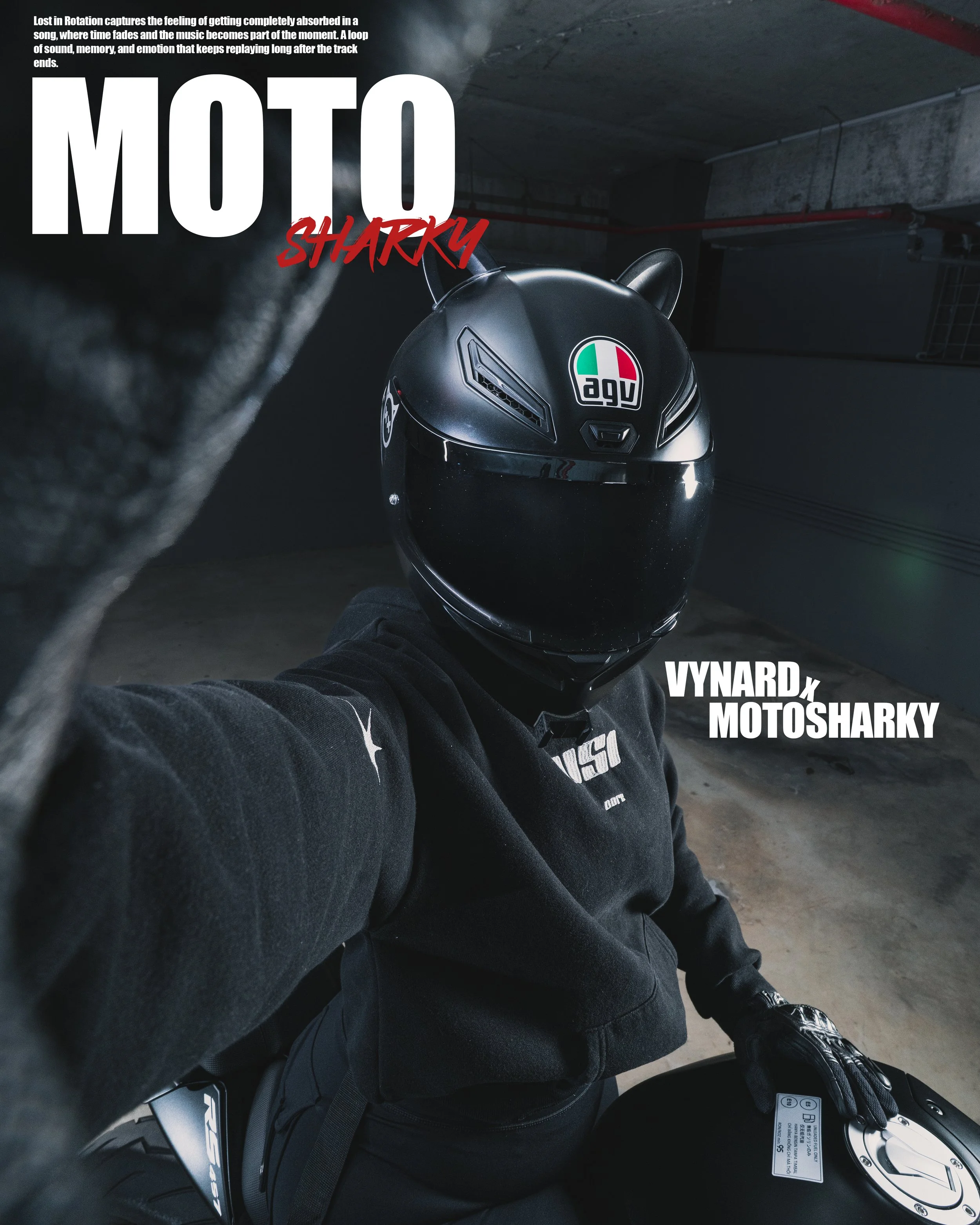 Motosharkygraphic-1.jpg
