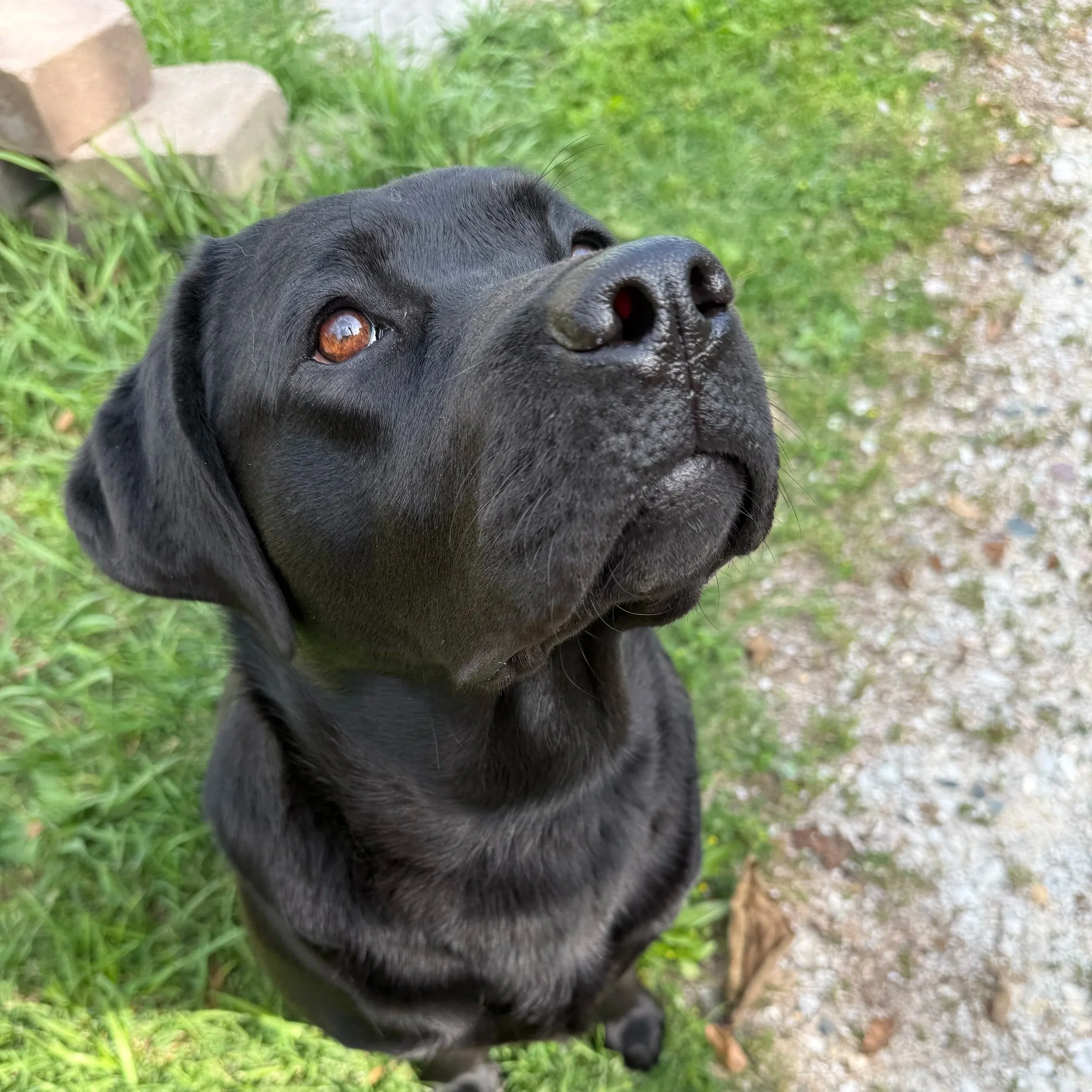 IMG_1136.jpg